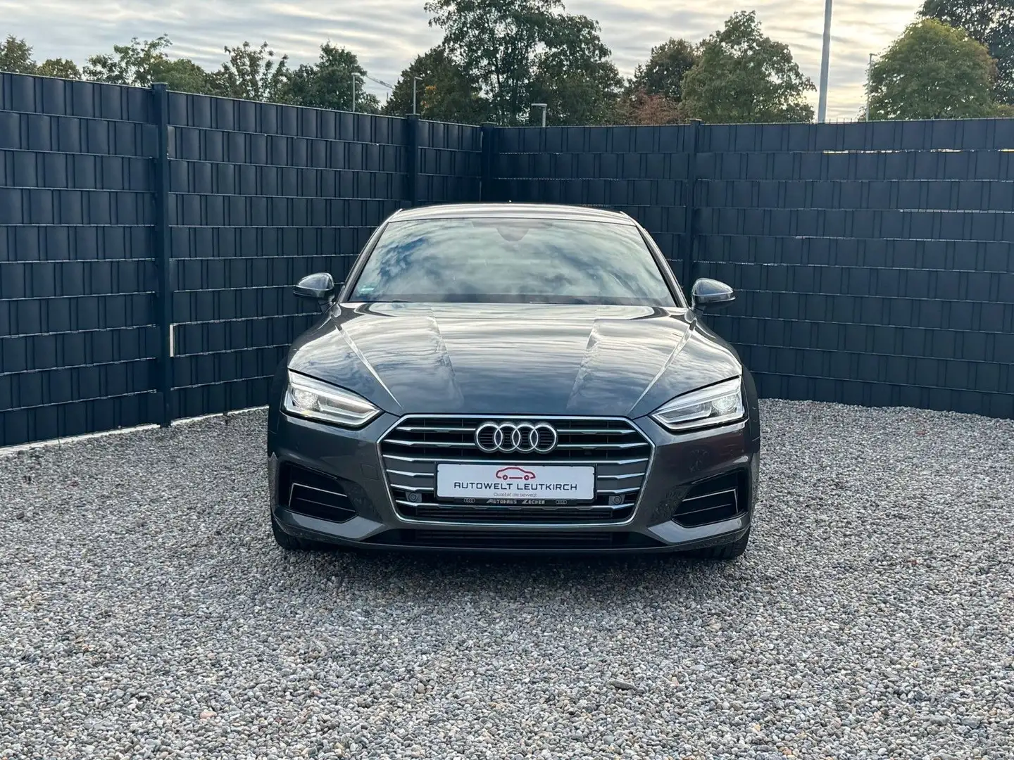 Audi A5 Sportback g-tron SPORT S-LINE PDC XENON Grau - 2