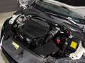 Audi TT 2.0 TFSI QUATTRO ABT APR Bianco - thumbnail 14