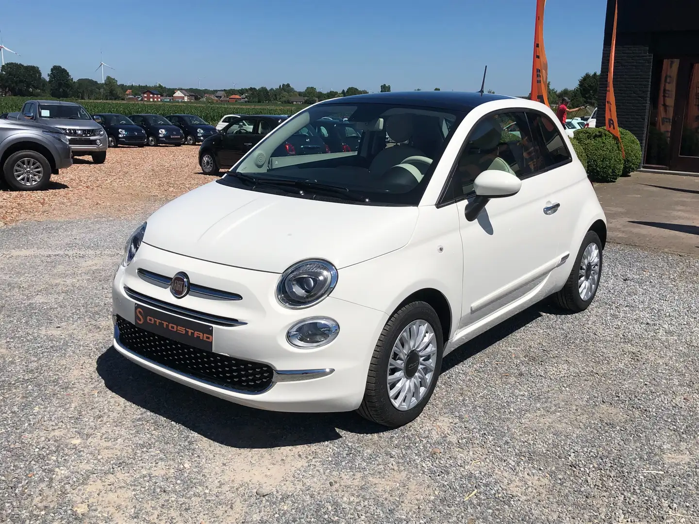 Fiat 500 1.0i MHEV Dolcevita - open dak - parkeersensoren Wit - 1