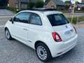 Fiat 500 1.0i MHEV Dolcevita - open dak - parkeersensoren Blanco - thumbnail 9