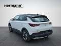 Opel Grandland X 1.5 D Elegance mit AHK abnehmbar Weiß - thumbnail 3