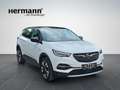 Opel Grandland X 1.5 D Elegance mit AHK abnehmbar Weiß - thumbnail 7