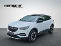 Opel Grandland X 1.5 D Elegance mit AHK abnehmbar Weiß - thumbnail 1