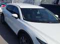 Ford Edge Edge 2016 2.0 tdci ST-Line s Nero - thumbnail 29