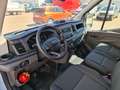 Ford Transit 310 L3H2 Lkw VA Trend Klima PDC 3 Sitze Blanc - thumbnail 2