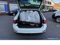 Skoda Superb Ambition*Navi*AHK*Wirelles*Tempo*Digi-Co Wit - thumbnail 12