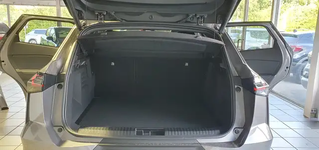 Mitsubishi Grandis view 11