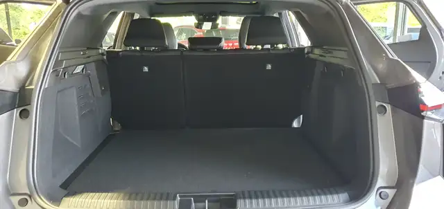 Mitsubishi Grandis view 15