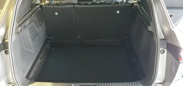 Mitsubishi Grandis view 12