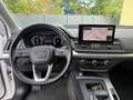 Audi Q5 35 TDI S-Line Virtual-Kamera-ACC Blanc - thumbnail 11