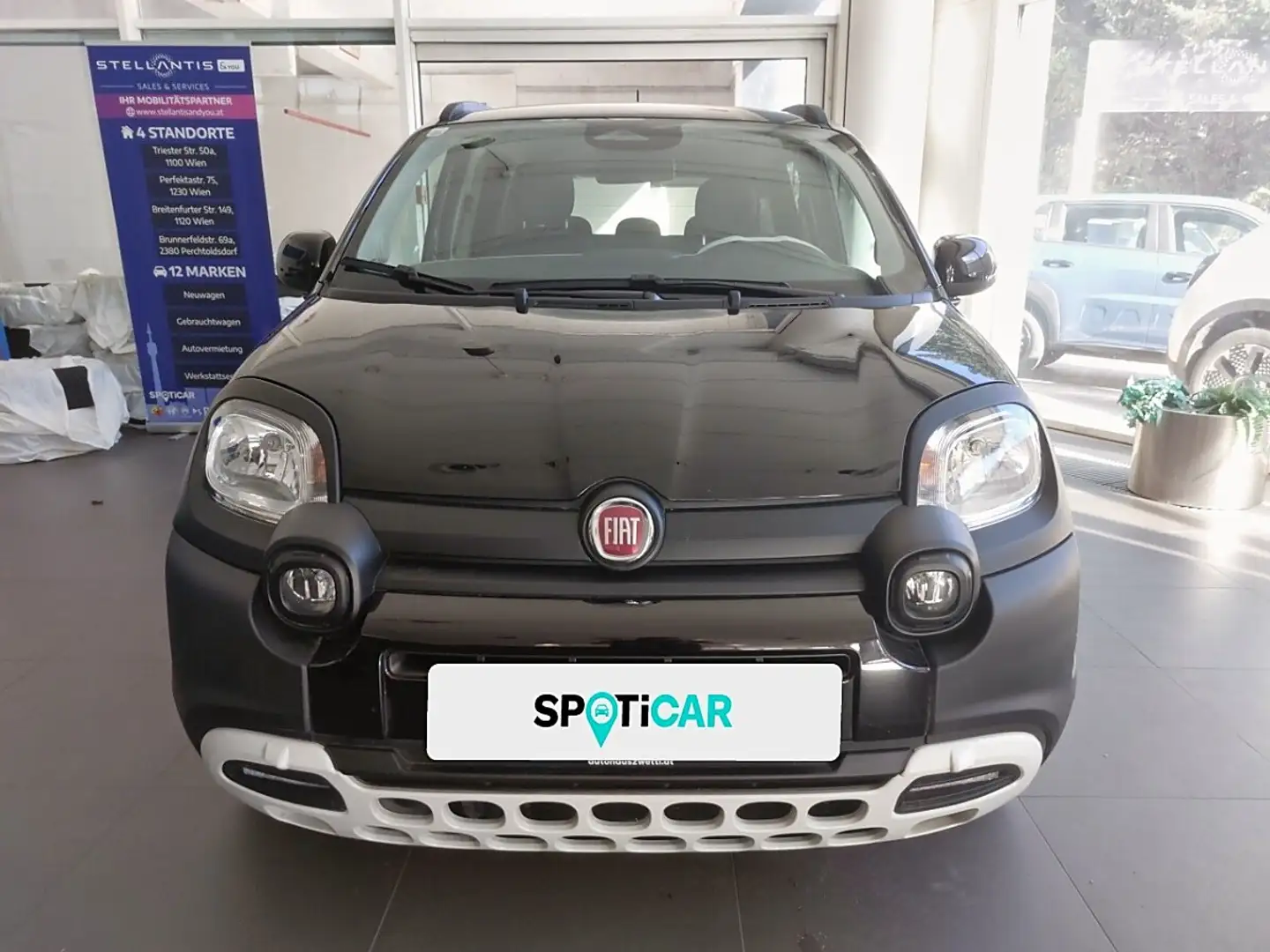 Fiat Panda 4x2 FireFly Hybrid 70 Pandina Schwarz - 2