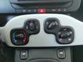 Fiat Panda 4x2 FireFly Hybrid 70 Pandina Schwarz - thumbnail 16