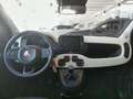 Fiat Panda 4x2 FireFly Hybrid 70 Pandina Schwarz - thumbnail 8