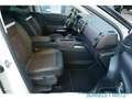 Citroen C5 Aircross Shine Pack 1.6 PureTech 180 EU6d AHK Navi  Leder 3 Blanc - thumbnail 5