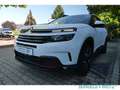 Citroen C5 Aircross Shine Pack 1.6 PureTech 180 EU6d AHK Navi  Leder 3 Blanc - thumbnail 14