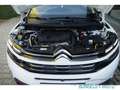Citroen C5 Aircross Shine Pack 1.6 PureTech 180 EU6d AHK Navi  Leder 3 Blanc - thumbnail 13