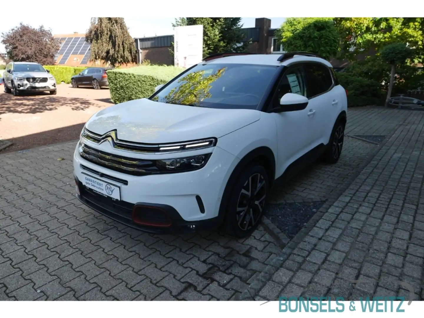 Citroen C5 Aircross Shine Pack 1.6 PureTech 180 EU6d AHK Navi  Leder 3 Blanc - 2