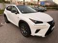 Lexus NX 300h NX 300h 2WD Luxe Blanco - thumbnail 1