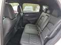 Nissan Qashqai 1,3 MHEV Tekna+ *ab € 28.990,-* Weiß - thumbnail 12