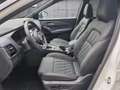 Nissan Qashqai 1,3 MHEV Tekna+ *ab € 34.990,-* Weiß - thumbnail 7