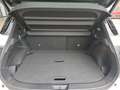 Nissan Qashqai 1,3 MHEV Tekna+ *ab € 29.990,-* Weiß - thumbnail 14