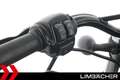 Harley-Davidson Sportster XL 1200 48 FORTY EIGHT ANNIVERSARY Blau - thumbnail 21