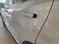 Tiger Sonstige Eight 1.5T DI 7DCT - Pronta Consegna Silber - thumbnail 12