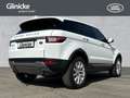 Land Rover Range Rover Evoque TD4 SE WinterPack SHZ Pano Weiß - thumbnail 2
