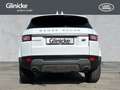 Land Rover Range Rover Evoque TD4 SE WinterPack SHZ Pano Weiß - thumbnail 7