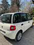 Fiat Multipla Multipla II 2004 1.6 16v natural power Active Weiß - thumbnail 1