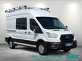 Ford Transit 350 L3H3 Lkw HA Trend Hartholz Boden Rückfahrk. Weiß - thumbnail 2