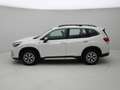 Subaru Forester 2.0i e-BOXER Comfort Wit - thumbnail 2