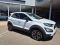 Ford EcoSport 1.0 EcoBoost 125ch Active 6cv Blanc - thumbnail 10