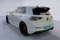 Volkswagen Golf VIII R BLACK EDITION 4MO AKRA+LEDER+PANO+ Weiß - thumbnail 4