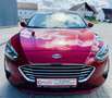 Ford Focus Titanium, TÜV 04/27, KD 04/25, 8fach, Panorama Rood - thumbnail 2