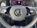 Skoda Kodiaq 2.0 TDI 4x4 DSG L&K *Navi*LED*CarPlay* Grau - thumbnail 13