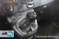Fiat Panda Panda 1.0 70cv Hybrid Panda Albastru - thumbnail 12