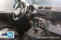 Fiat Panda Panda 1.0 70cv Hybrid Panda Albastru - thumbnail 13