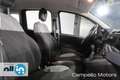 Fiat Panda Panda 1.0 70cv Hybrid Panda Albastru - thumbnail 14