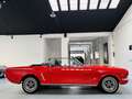 Ford Mustang 289 Cabrio Rojo - thumbnail 4