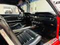 Ford Mustang 289 Cabrio Rojo - thumbnail 15