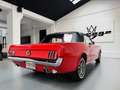 Ford Mustang 289 Cabrio Rojo - thumbnail 6