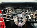 Ford Mustang 289 Cabrio Rojo - thumbnail 20