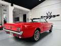 Ford Mustang 289 Cabrio Rojo - thumbnail 5