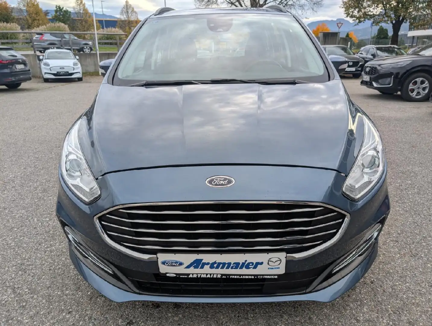 Ford Galaxy Trend AHK PDC Kamera Navi Winter-P. - 2