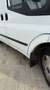 Ford Transit Bus Ford Transit 260S 2.2 TDCI Economy Edition EURO5 bijela - thumbnail 6
