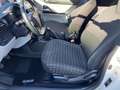 Toyota iQ 1.0 Lounge (high) Weiß - thumbnail 8