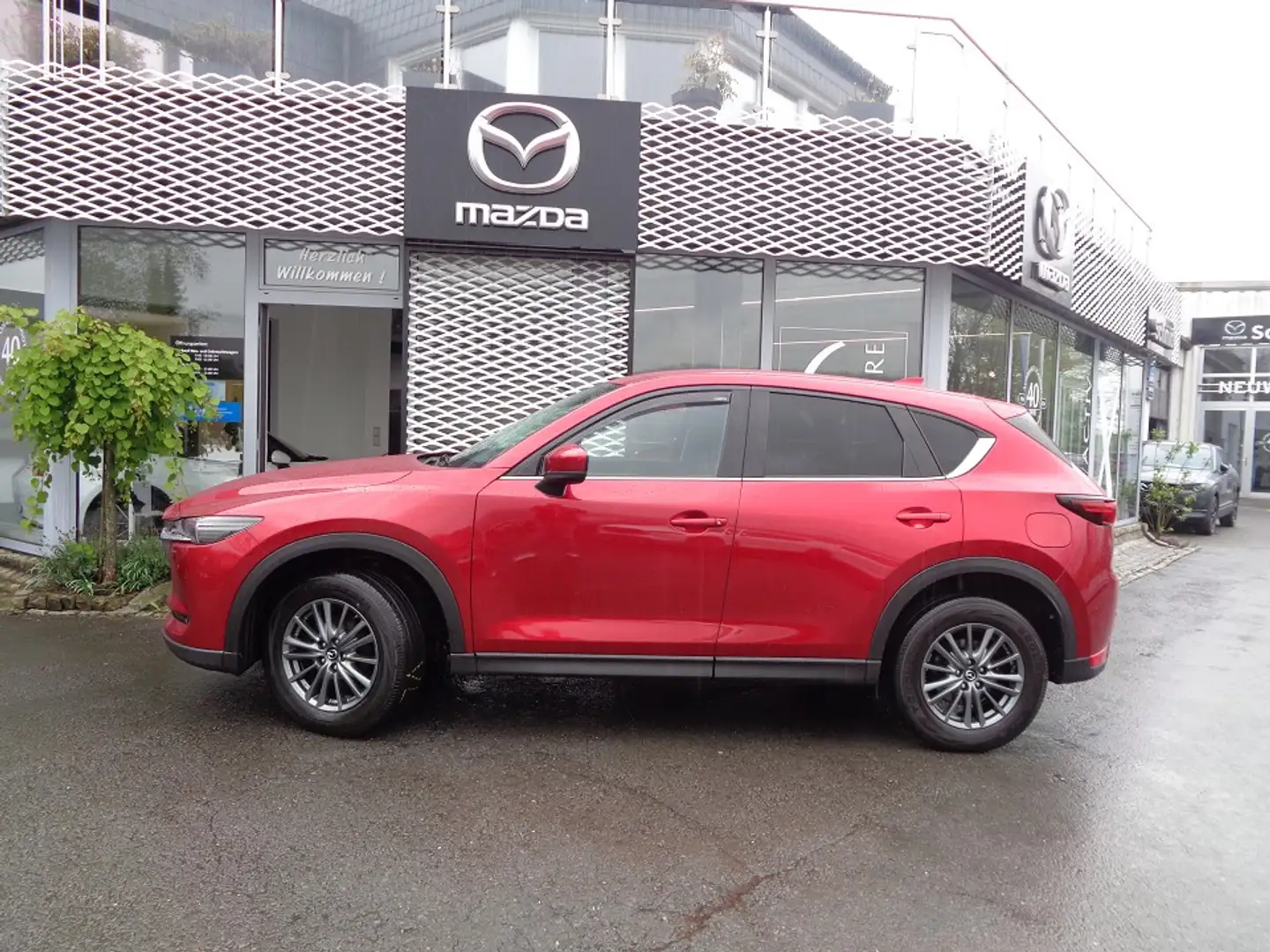 Mazda CX-5 Exclusive-Line inkl. AHK, WR + Navi Rouge - 2