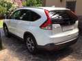 Honda CR-V CR-V 1.6 LIFESTYLE 2014 (Turbo diesel) Bianco - thumbnail 3