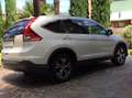 Honda CR-V CR-V 1.6 LIFESTYLE 2014 (Turbo diesel) Bianco - thumbnail 5